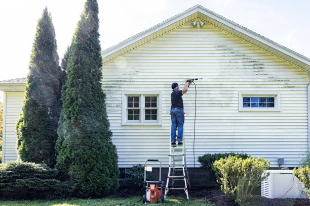 Best Building Exterior Washing  in Leilani Estates, HI